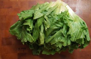 Escarole