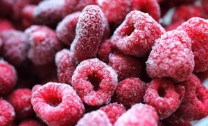 How to store food in freezer