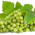 White grapes, characteristics, and properties