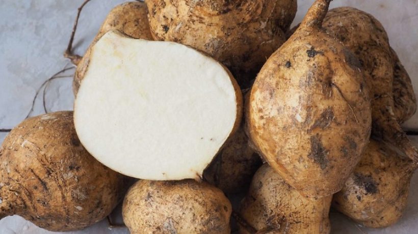 What is jicama and how is it consumed?