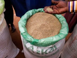 Is hermetically sealed coffee more expensive