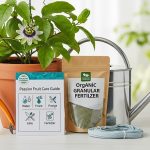 How to Care for Passion Fruit Plants Properly